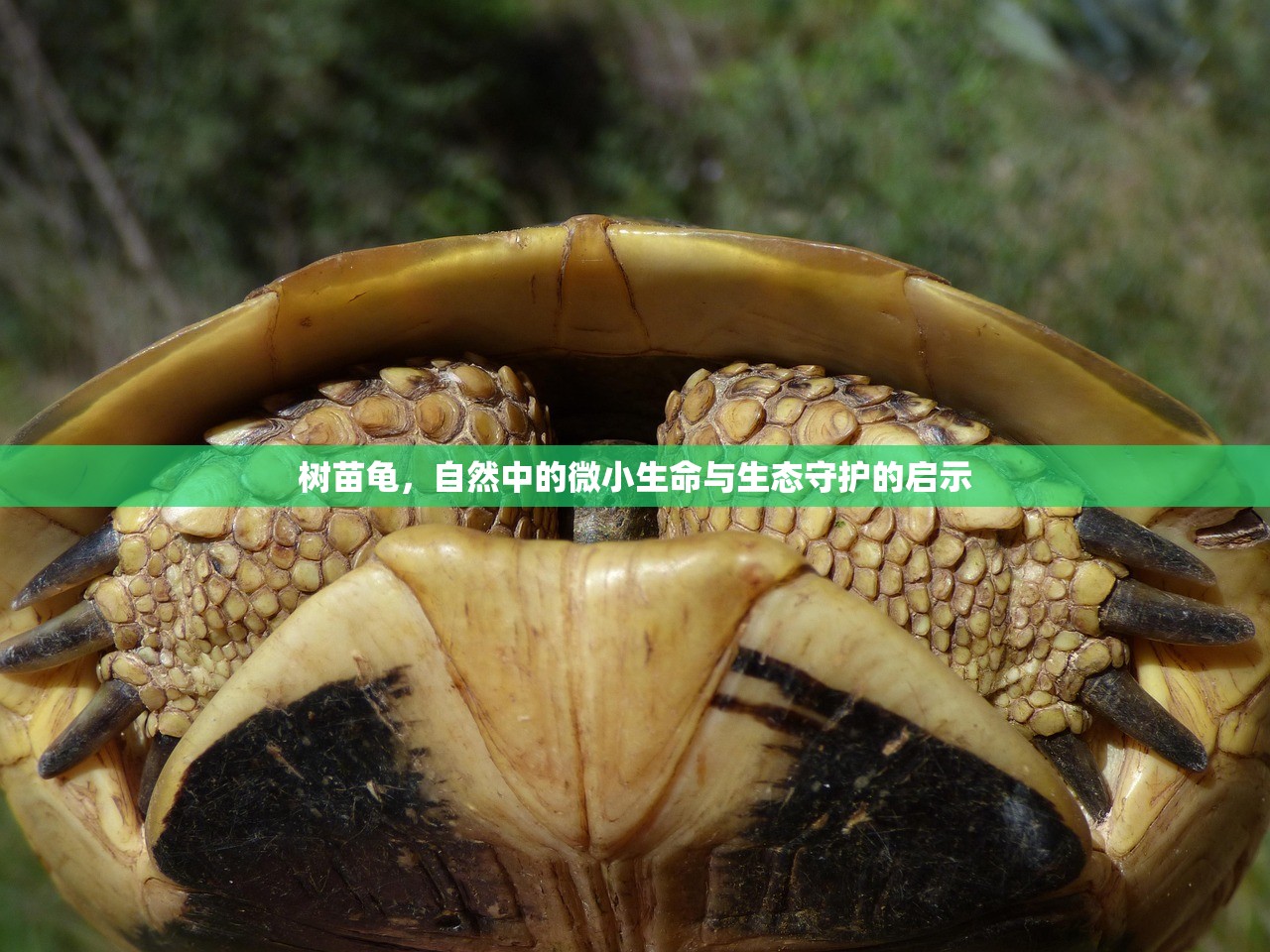 可以玩下去的养成手游，乐趣无穷的沉浸式体验