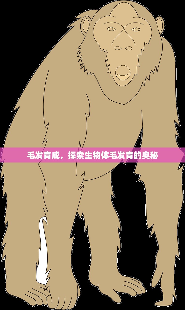 农场保卫战手游攻略，玩转农场保卫战