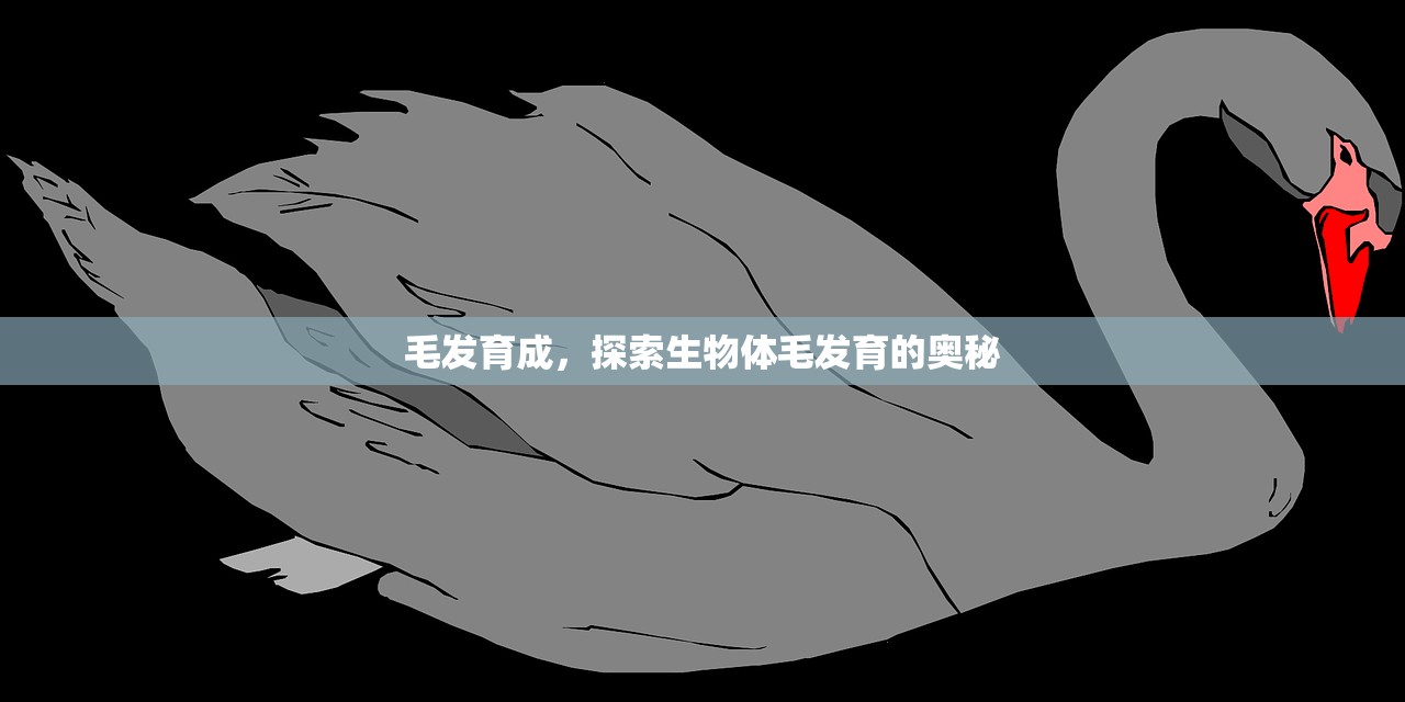 全面解析，地下城手游在iOS系统的玩法攻略