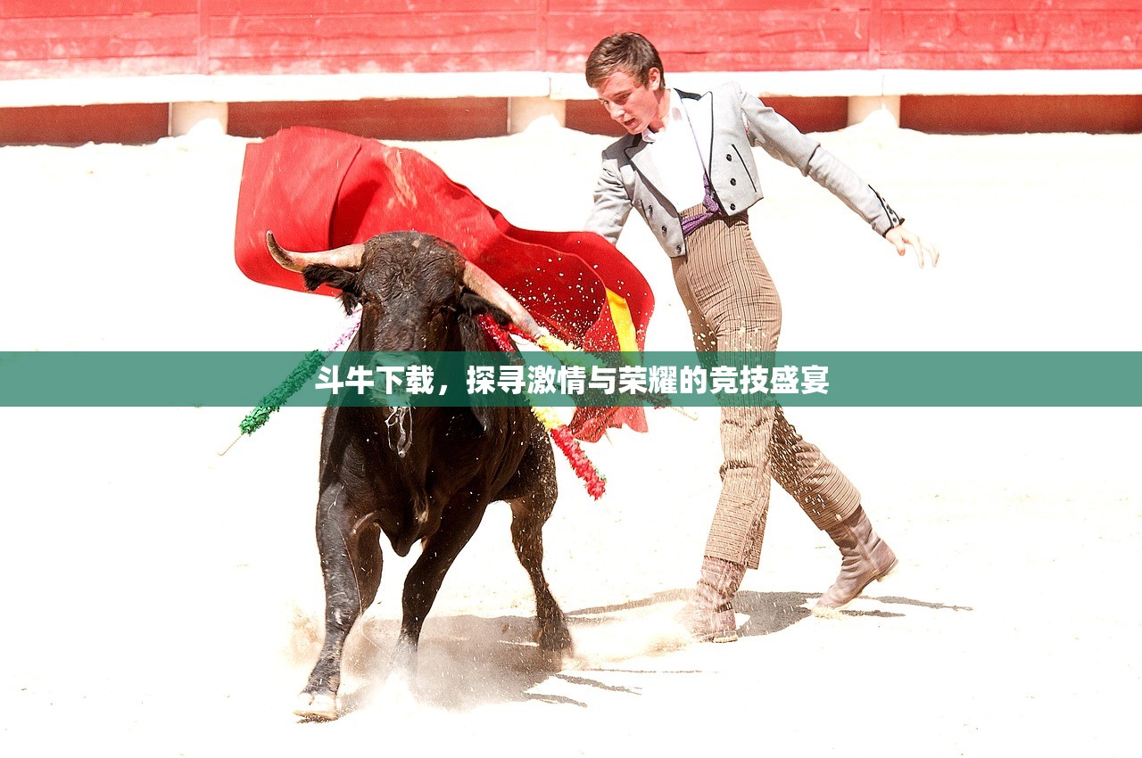 适合新手玩的棋牌手游，入门指南与推荐
