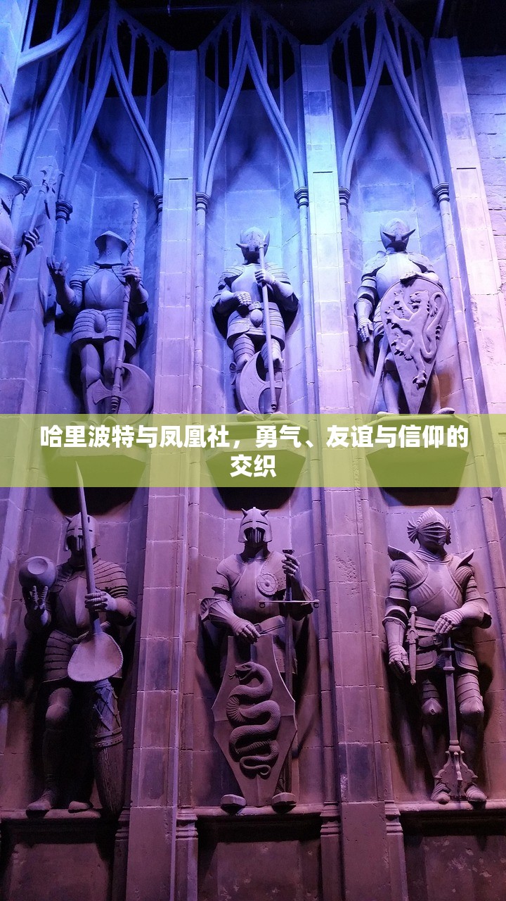 LOL手游主玩狼人，无畏之狼的独特魅力