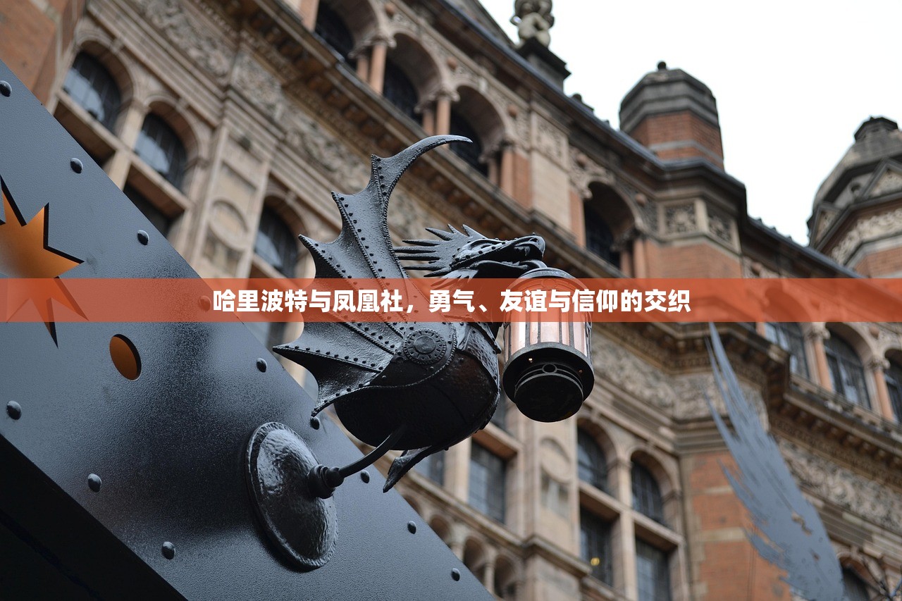 适合新手玩的棋牌手游推荐