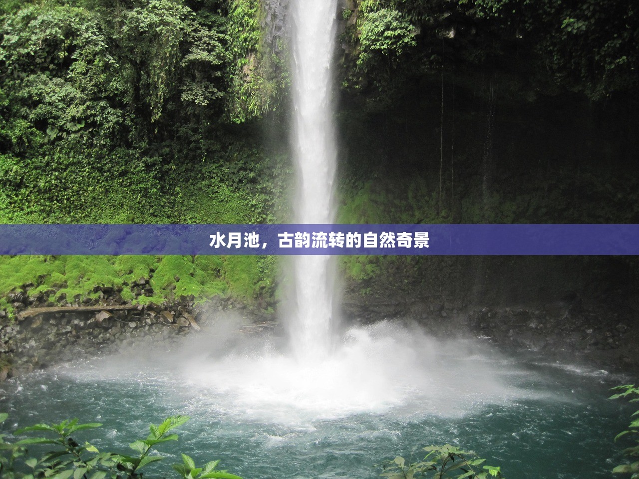 如何在内存少的情况下玩转联机生存手游