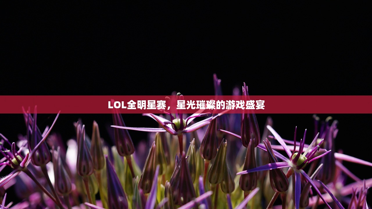 玩转使命召唤，战网手游攻略