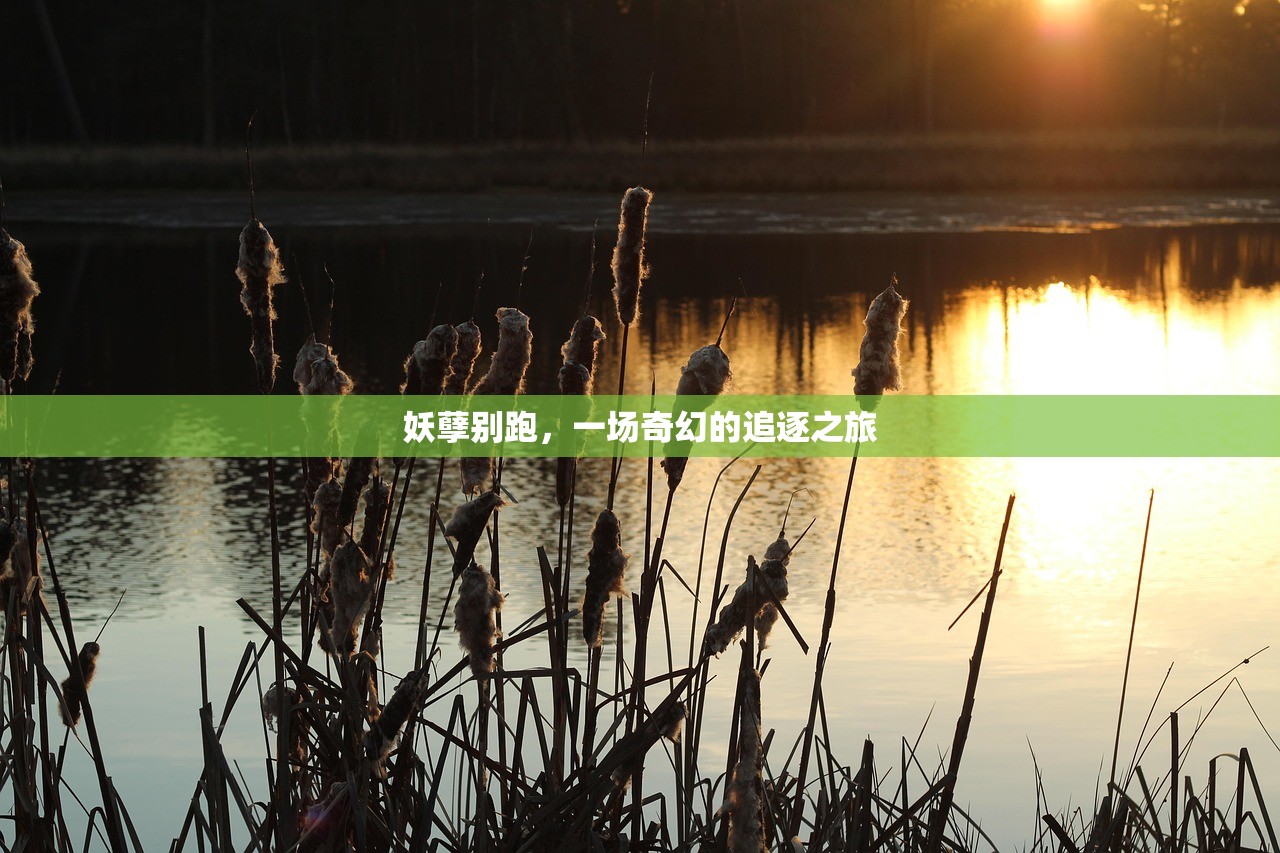 单手玩转韩信，英雄联盟手游攻略