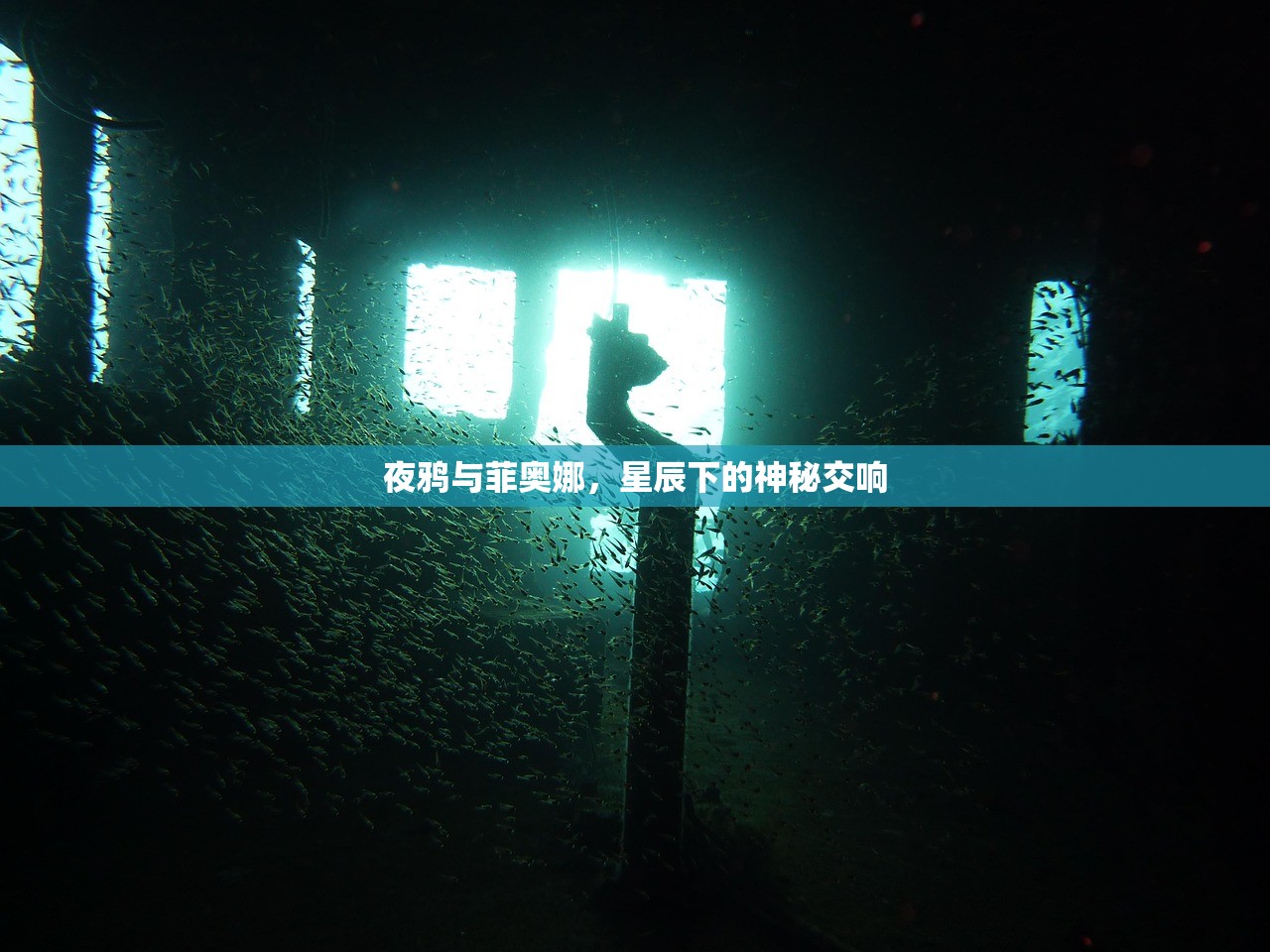 餐饮老师玩CF手游与端游的跨界体验
