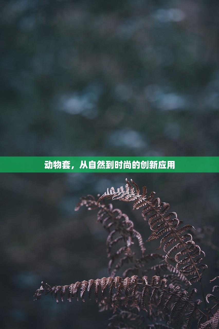 手游卢仙打野攻略，玩转野外战场