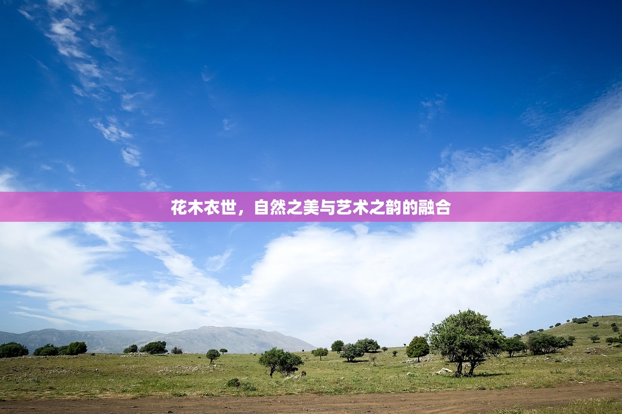 苹果XS Max玩使命召唤手游，沉浸式体验与极致性能的结合