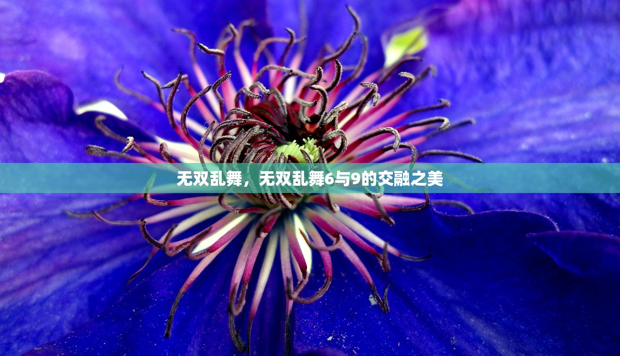 适合新手玩的棋牌手游—入门指南