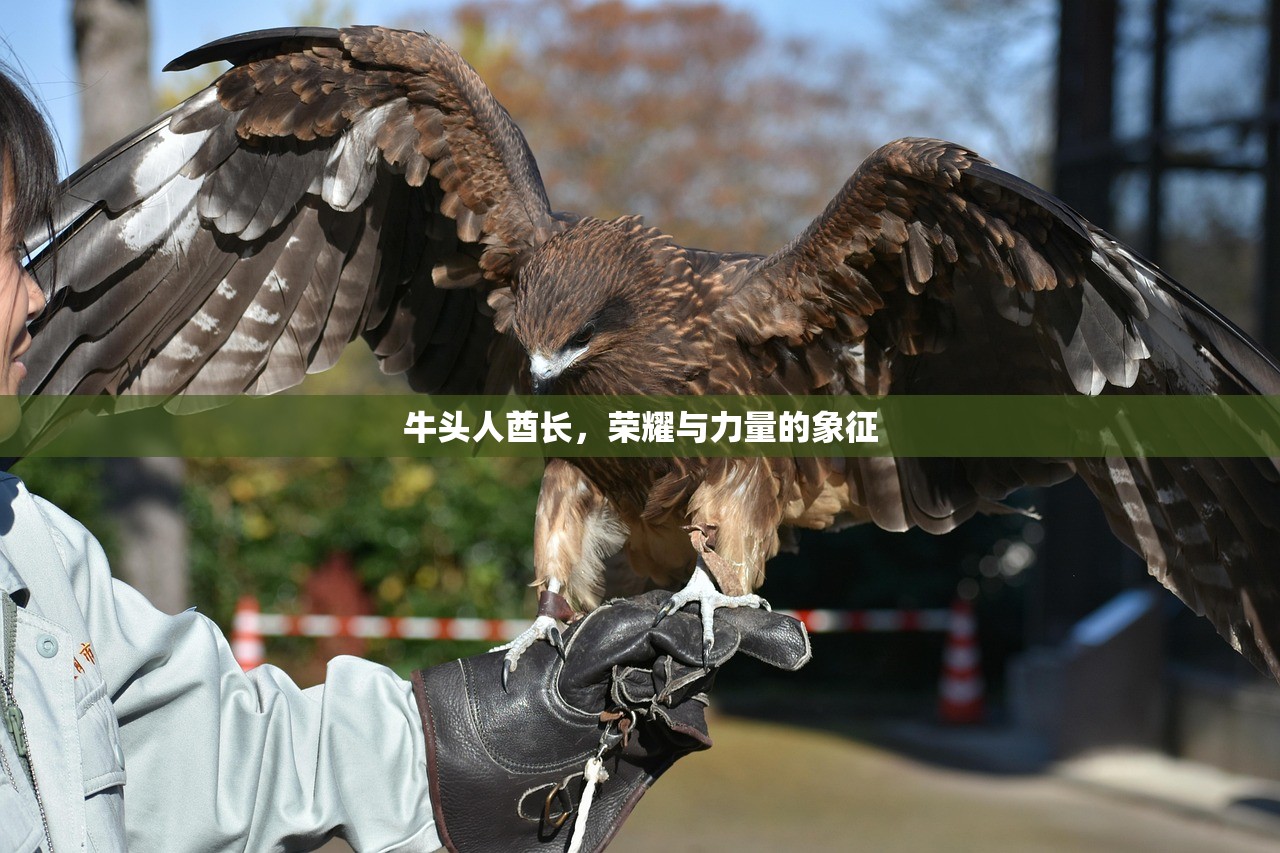 手游加里奥支援攻略，如何玩转加里奥角色