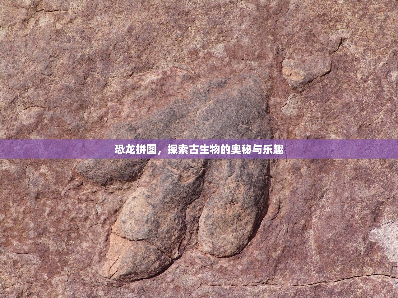如何玩转美服手游的端游版