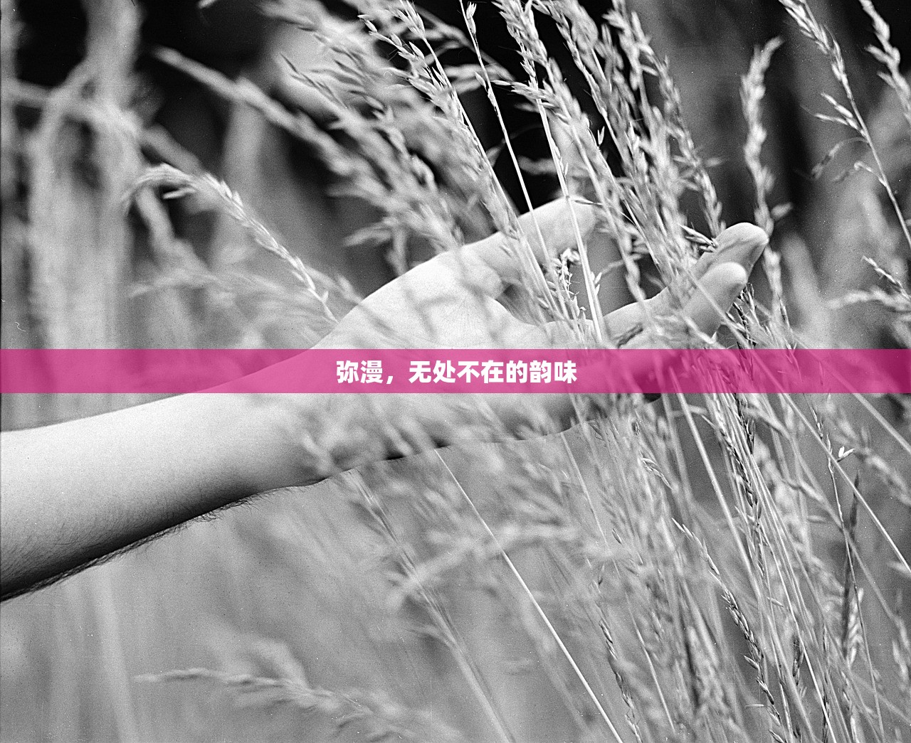 单手玩转韩信，英雄联盟手游的极致挑战