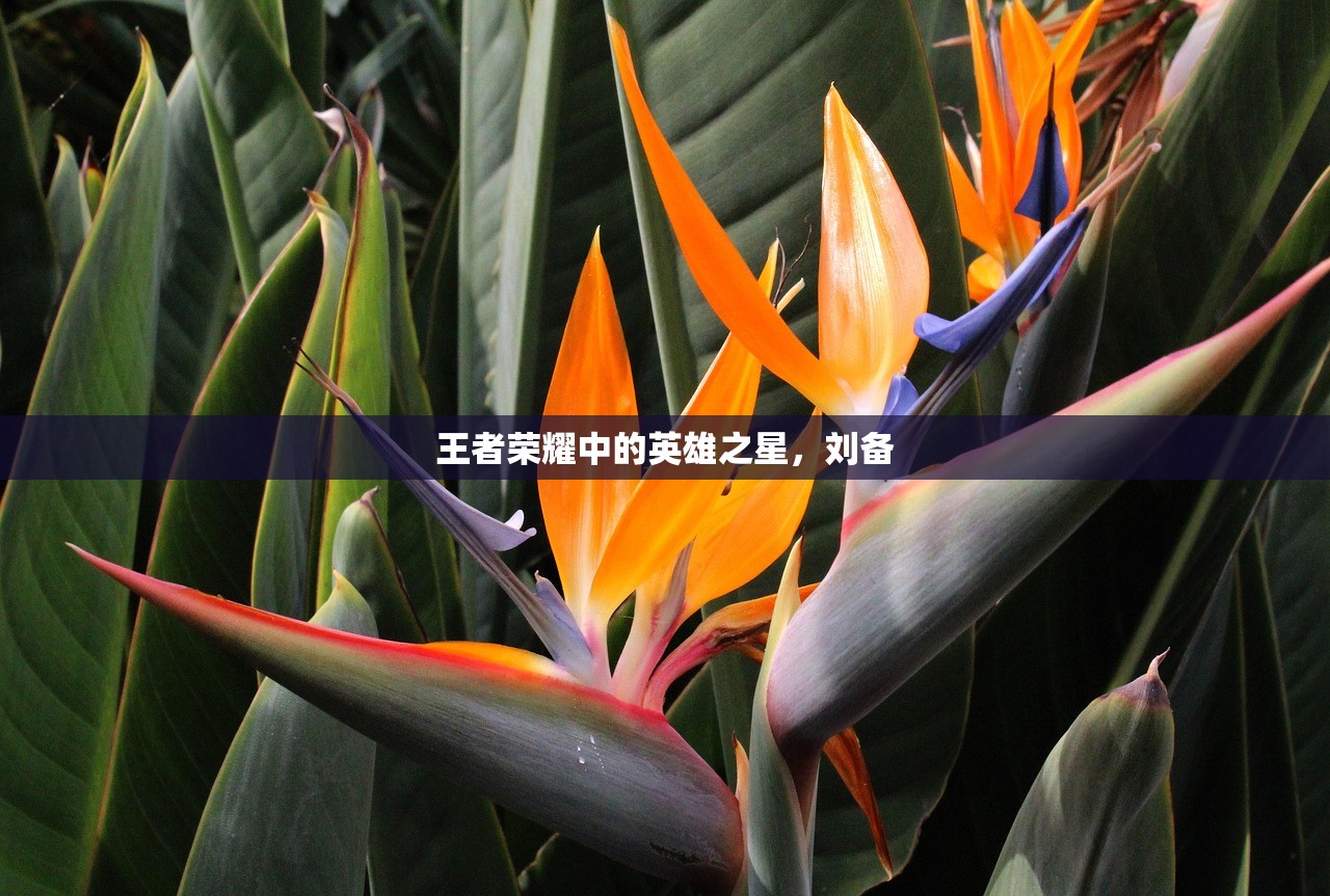 手游卢仙打野攻略，玩转野外战场