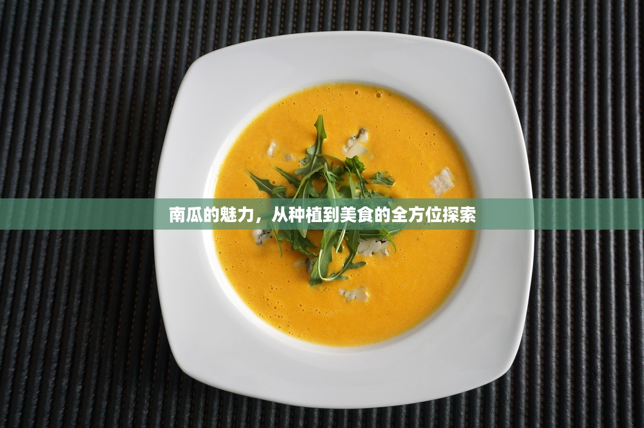 完美世界手游紫霞攻略，如何玩转紫霞角色