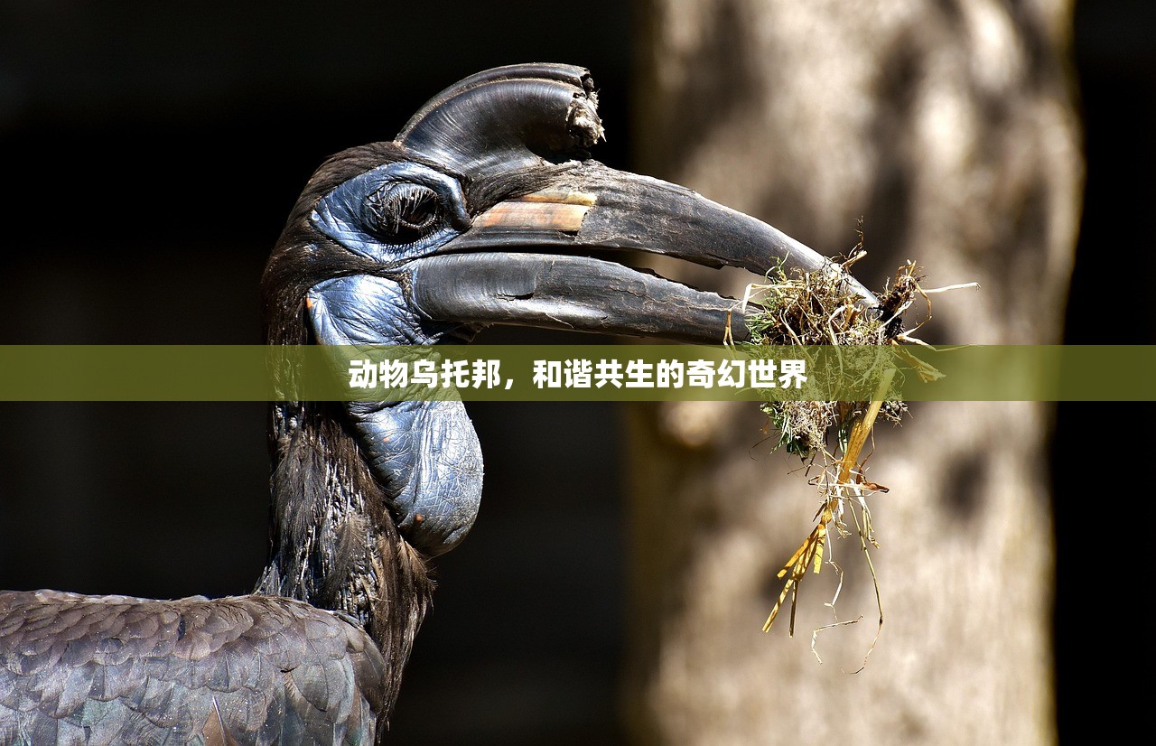手游中的卢锡安攻略，如何玩好这位强势英雄