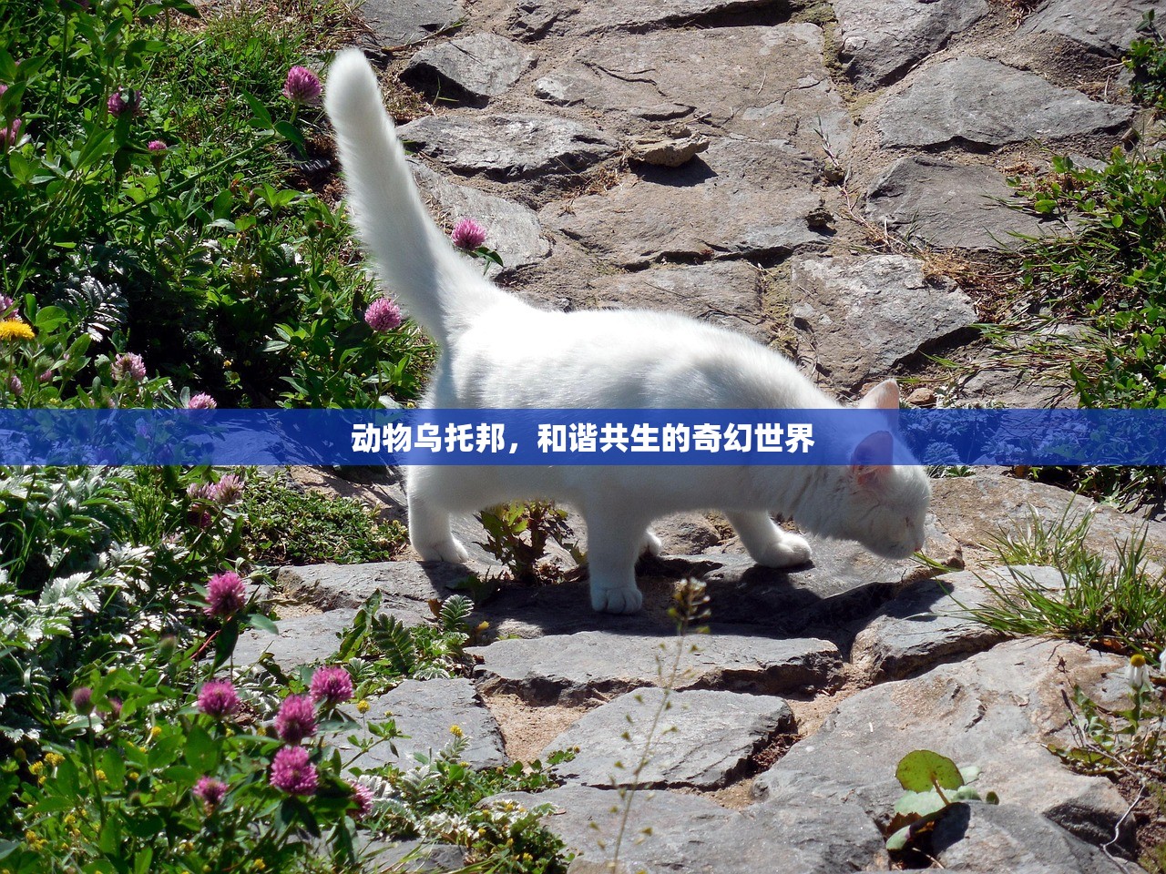 最近大家在玩什么手游？热门手游大盘点