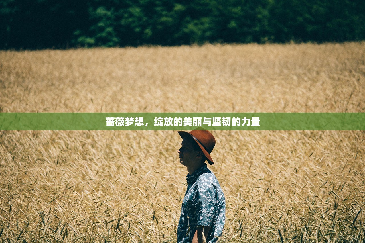 问道手游沙城攻略，玩转沙城的秘诀与技巧