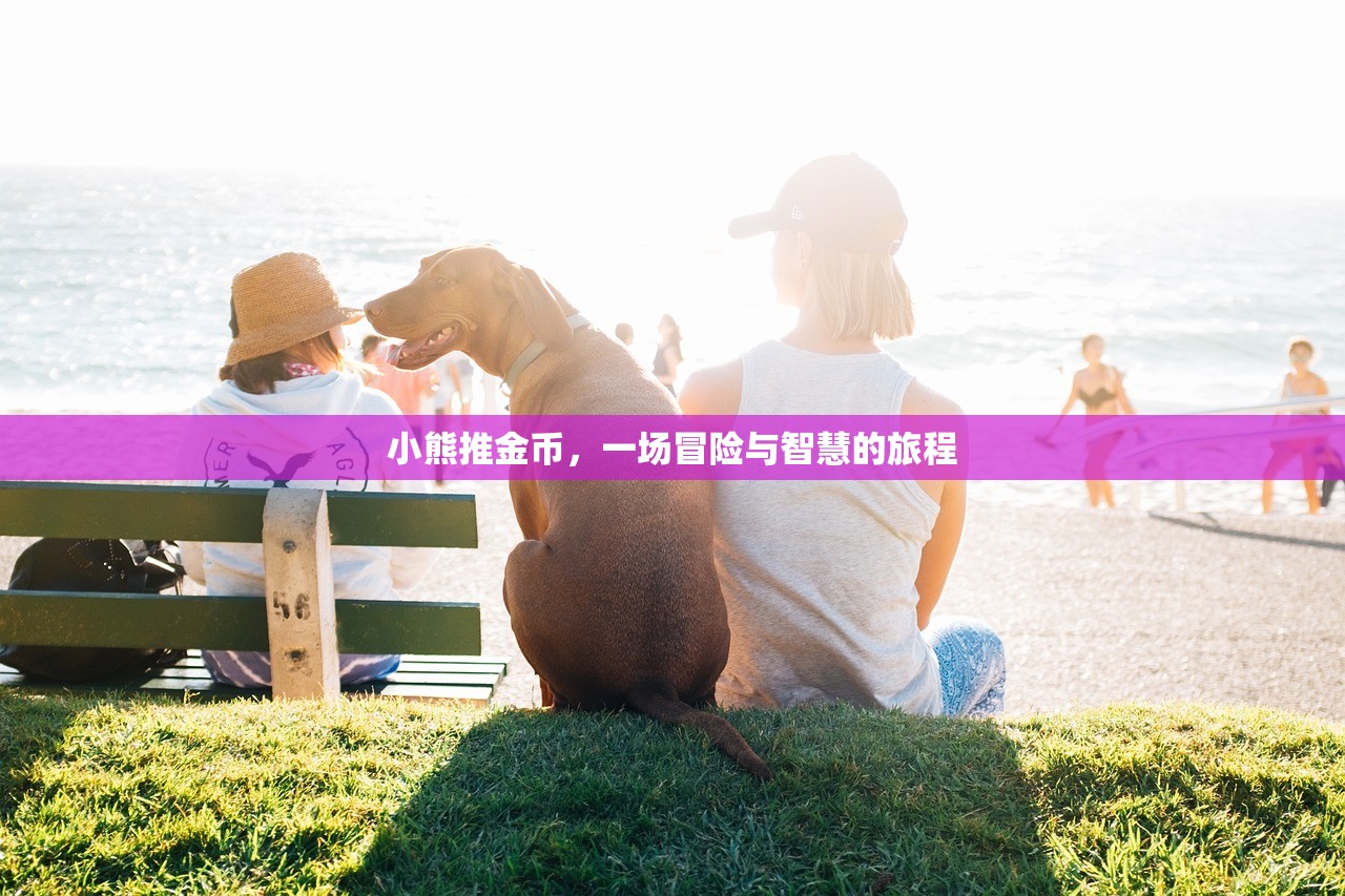 苹果设备玩转崽崽手游，全面指南