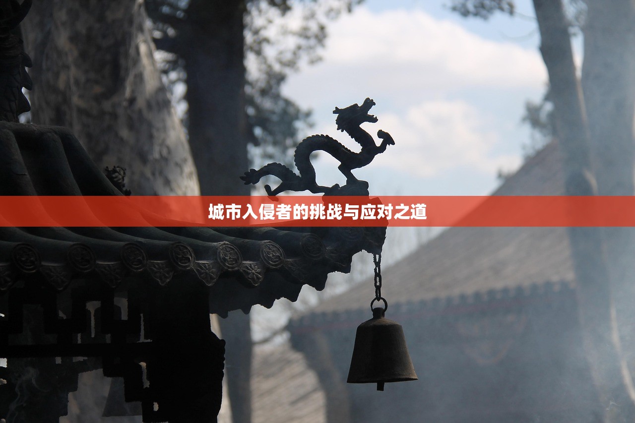 问道手游沙城攻略，玩转沙城的秘诀与技巧