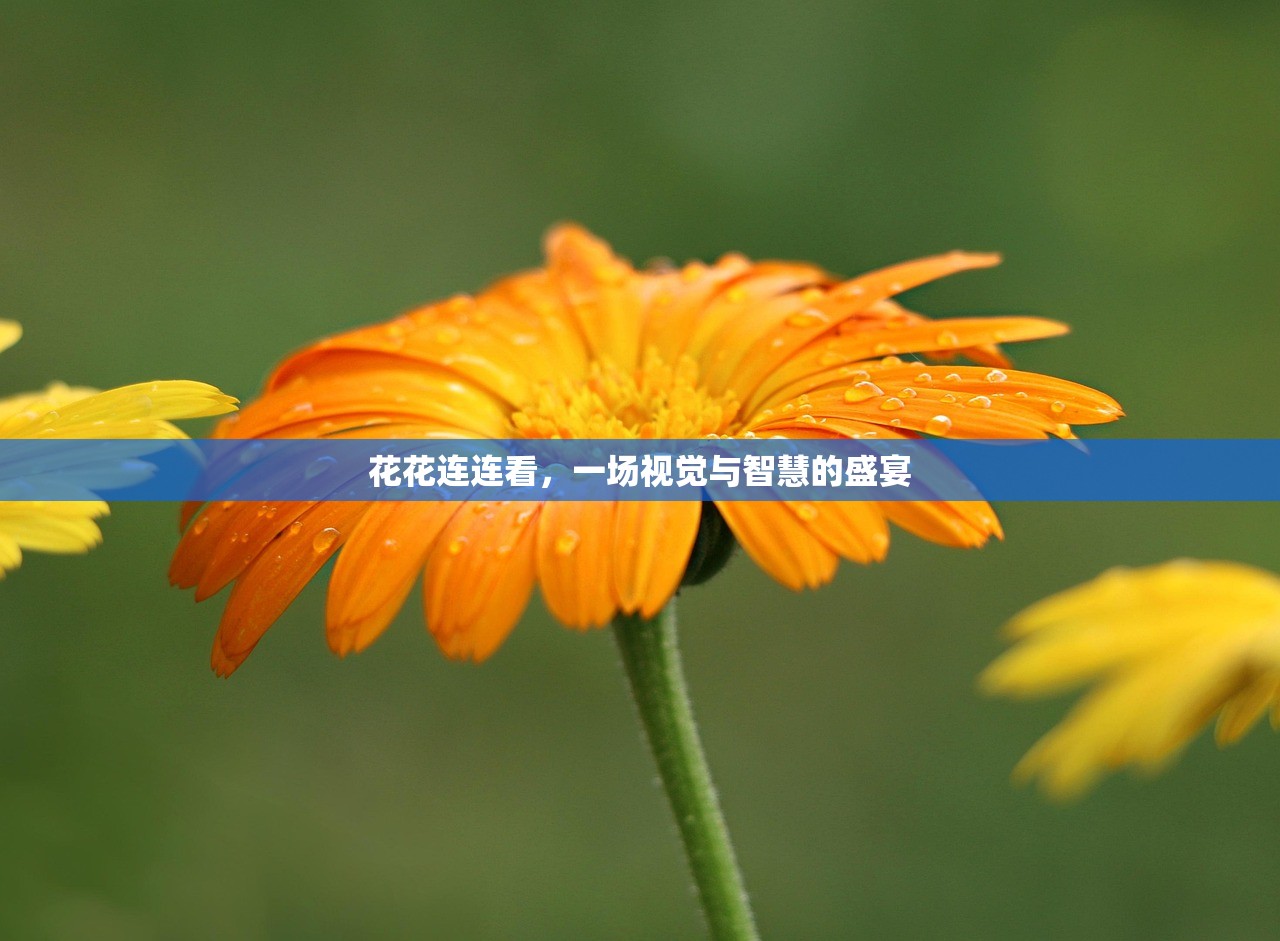 小米10畅玩Apex手游，优化设置与操作技巧全解析