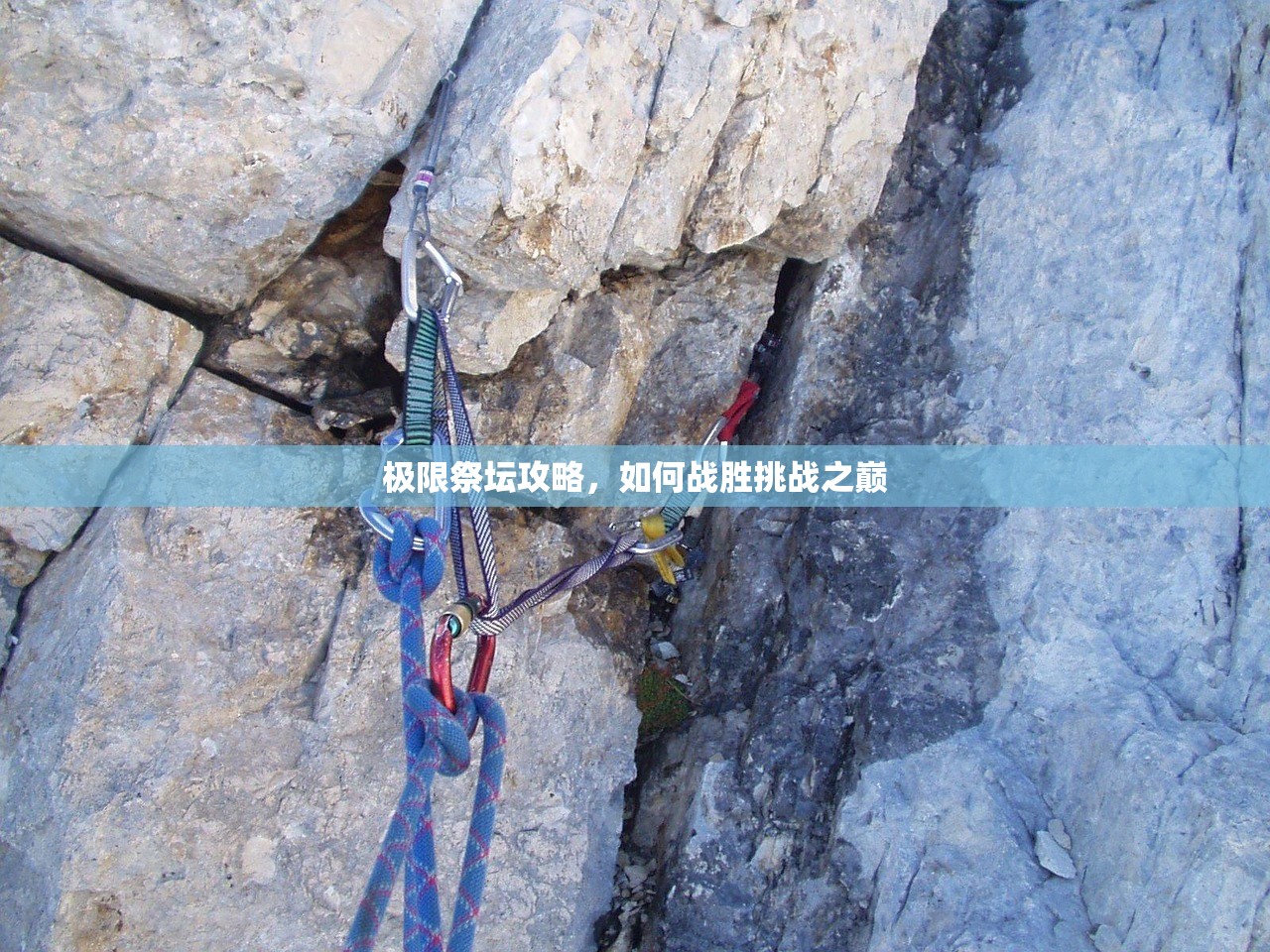 苹果设备玩转崽崽手游，全面指南