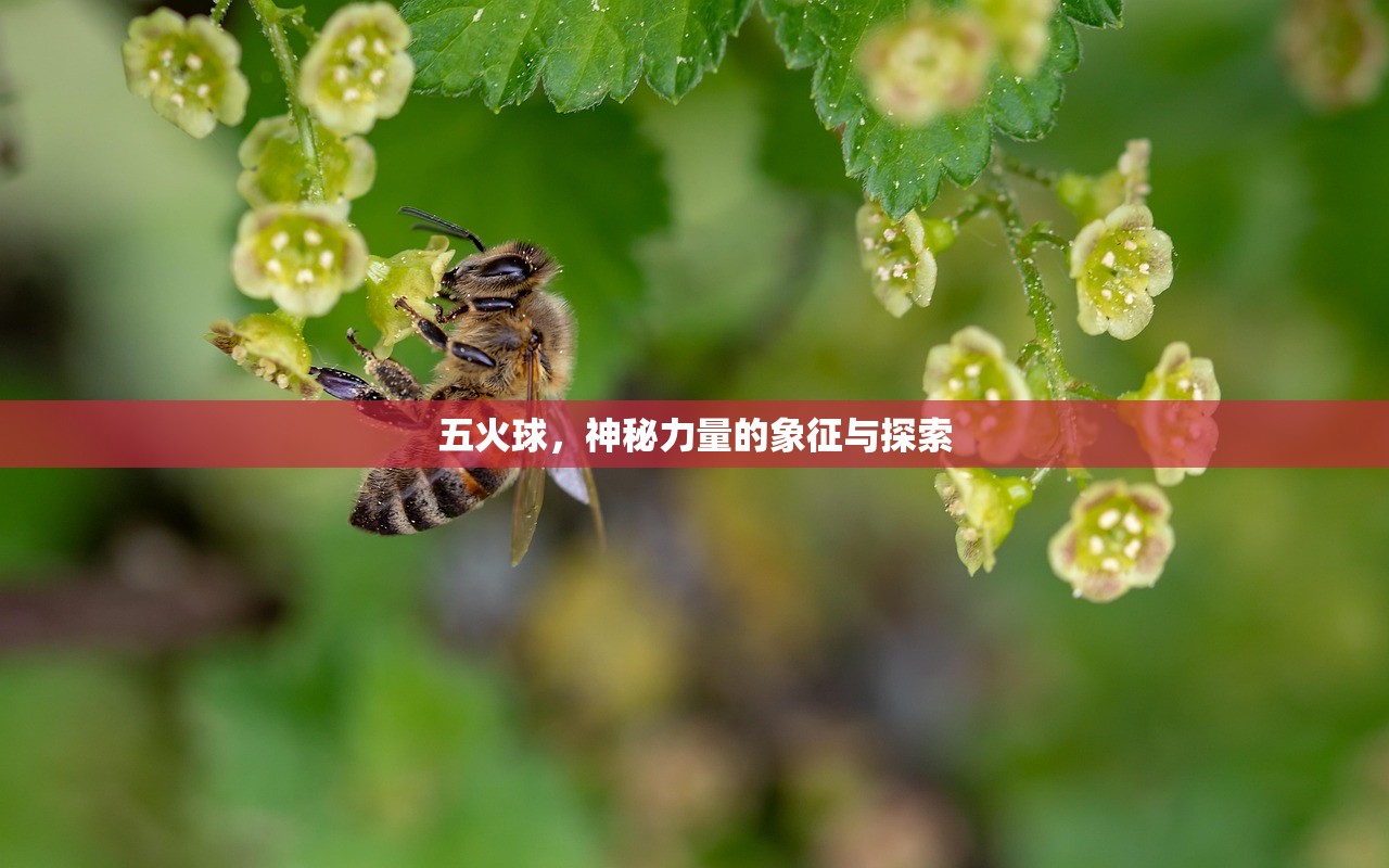 CF手游为什么逐渐失去了玩家群体？