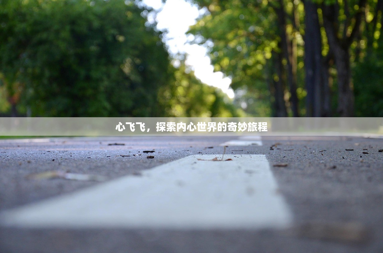 联机乐无穷，热门网络手游的魅力世界