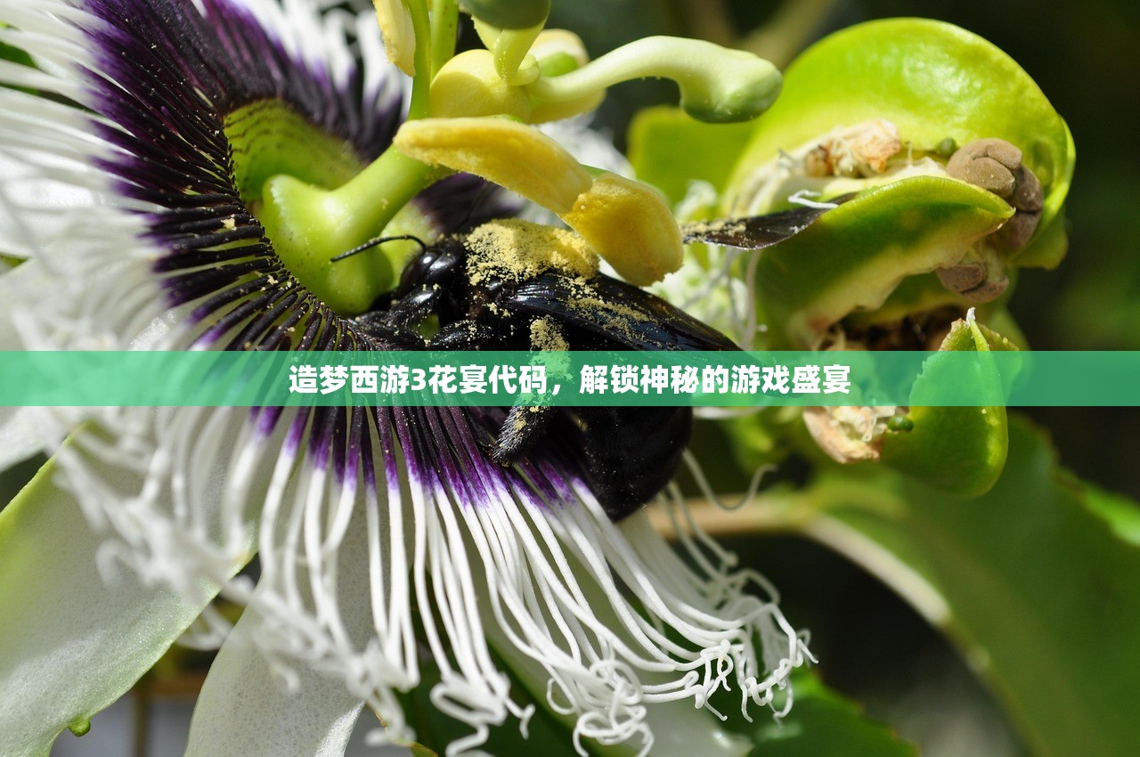 完美世界手游紫霞攻略，如何玩转紫霞角色