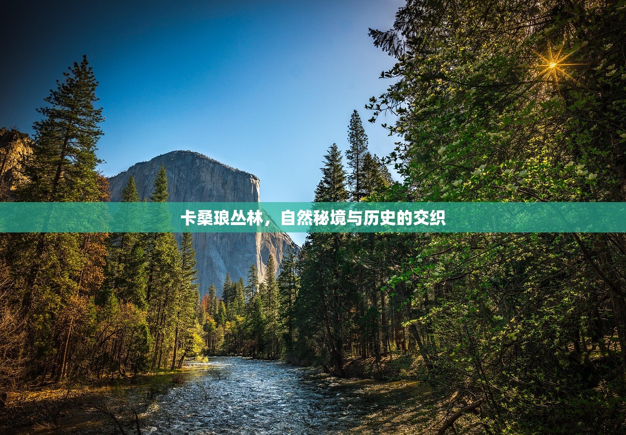 完美世界手游紫霞攻略，如何玩转紫霞角色