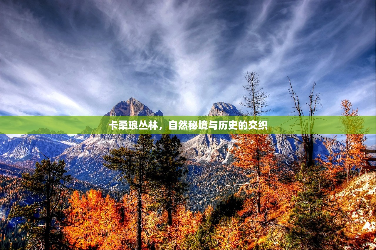 掌机玩传奇手游，深度攻略与体验分享