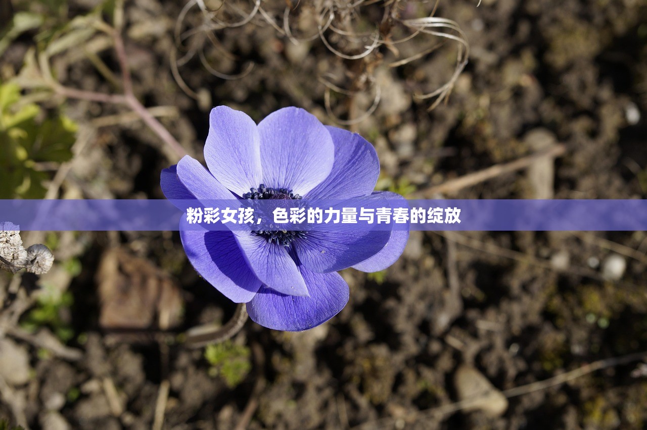 手游追击模式教程，玩转追击模式，成为顶尖玩家