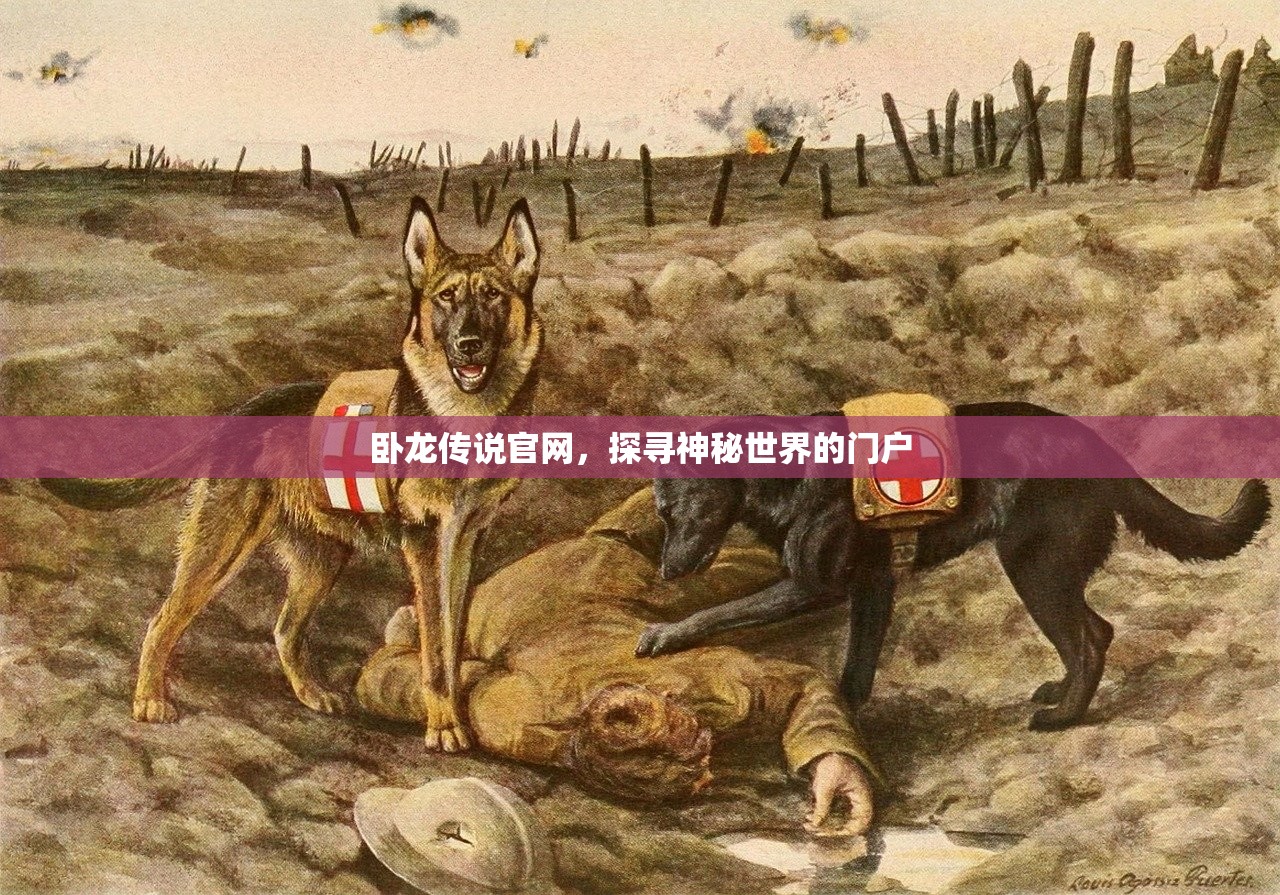 剑侠情缘手游花城攻略，玩转花城的秘诀