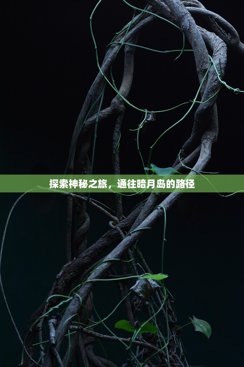 手游英雄联盟鱼人攻略，掌握游戏技巧，轻松上分