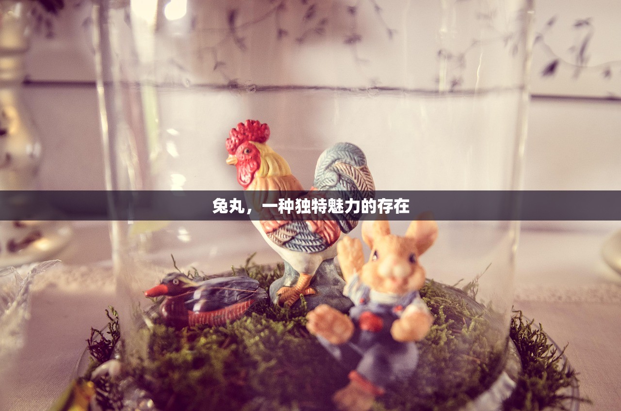 兔丸，一种独特魅力的存在