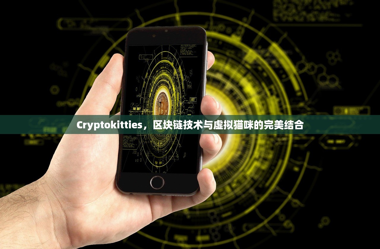 苹果XS Max玩使命召唤手游，沉浸式体验与极致性能展现