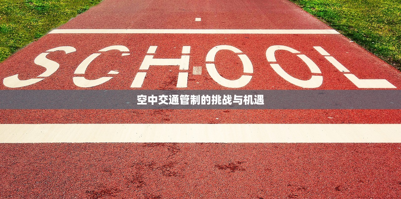 手游加里奥支援攻略，玩转英雄战场