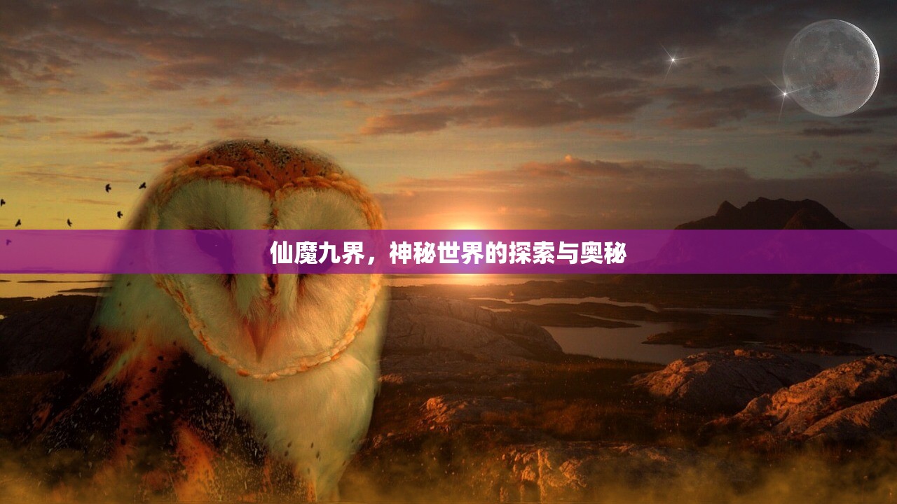 LOL手游主玩狼人，无畏冲锋的野性之力