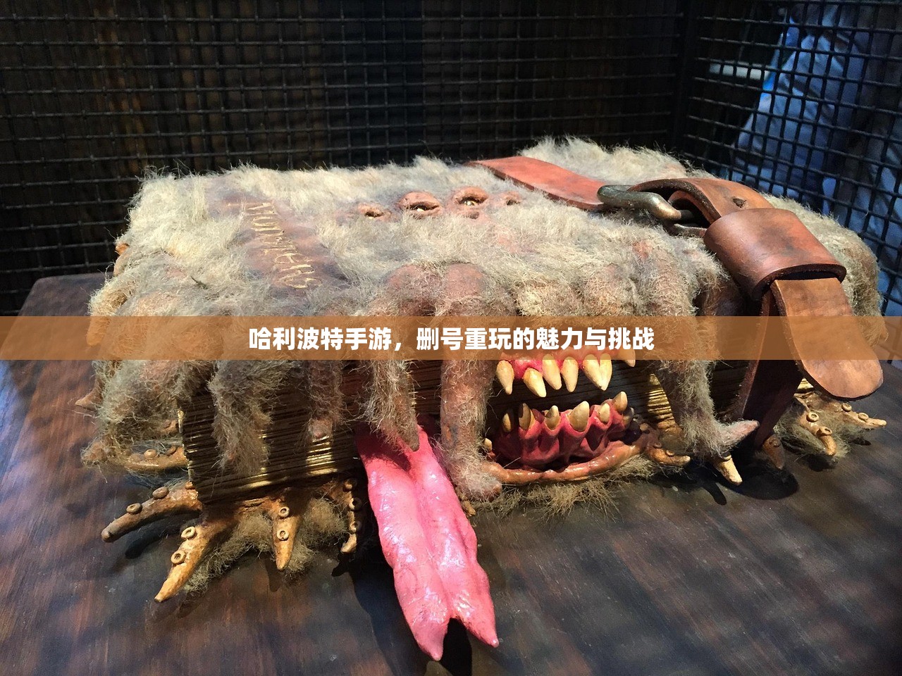 哈利波特手游，删号重玩的魅力与挑战