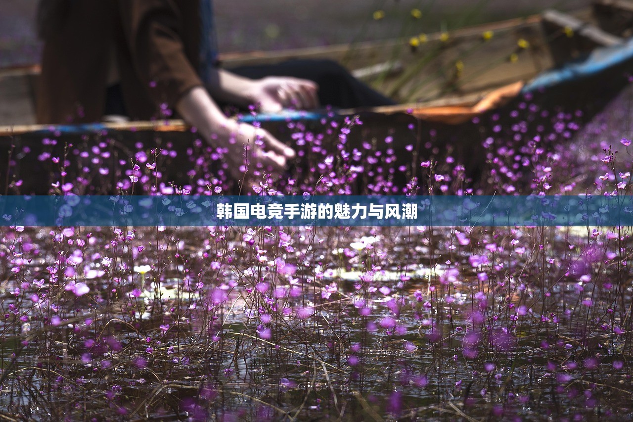 韩国电竞手游的魅力与风潮