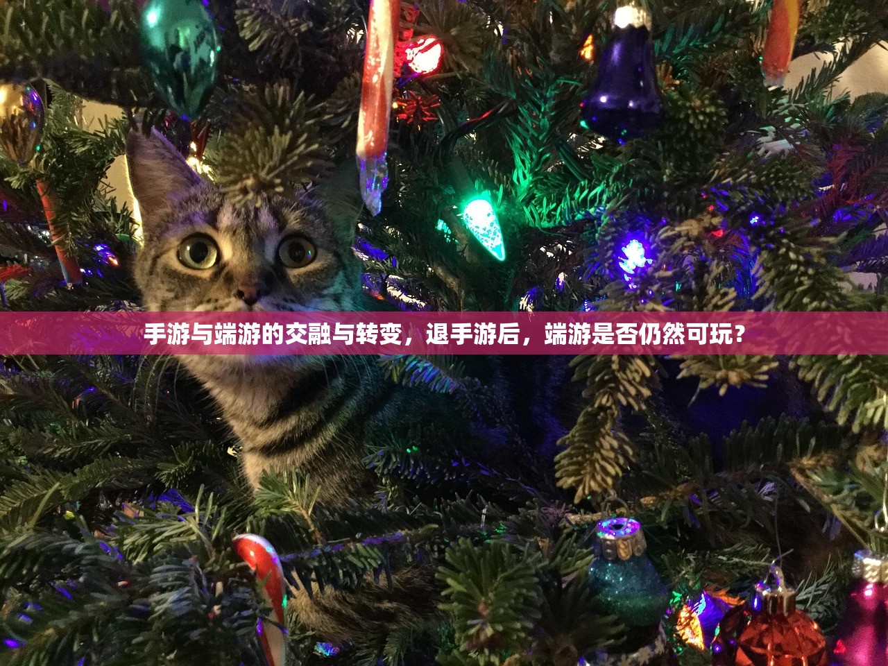 手游饥荒，长久游戏的提示与策略
