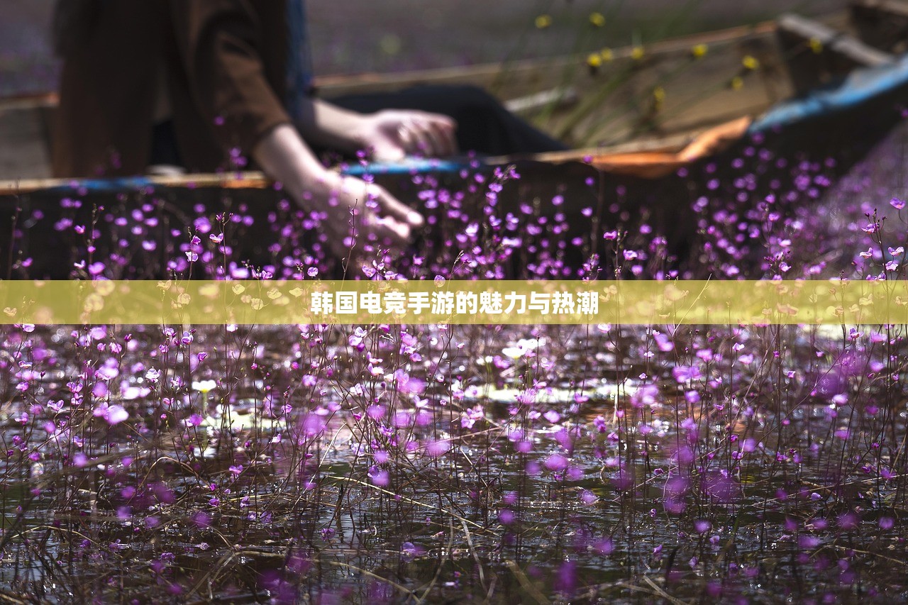 适合新手玩的棋牌手游，入门指南与推荐