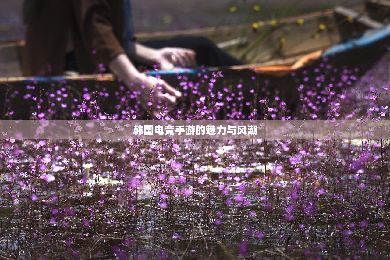 韩国电竞手游的魅力与风潮