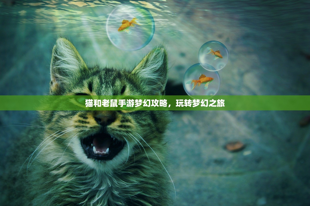 猫和老鼠手游梦幻攻略，玩转梦幻之旅