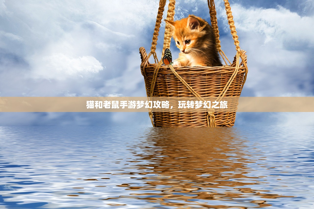 猫和老鼠手游梦幻攻略，玩转梦幻之旅