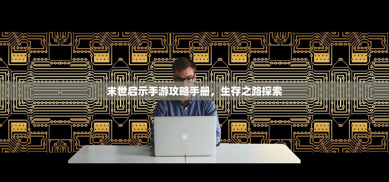 如何玩转美服手游的端游版