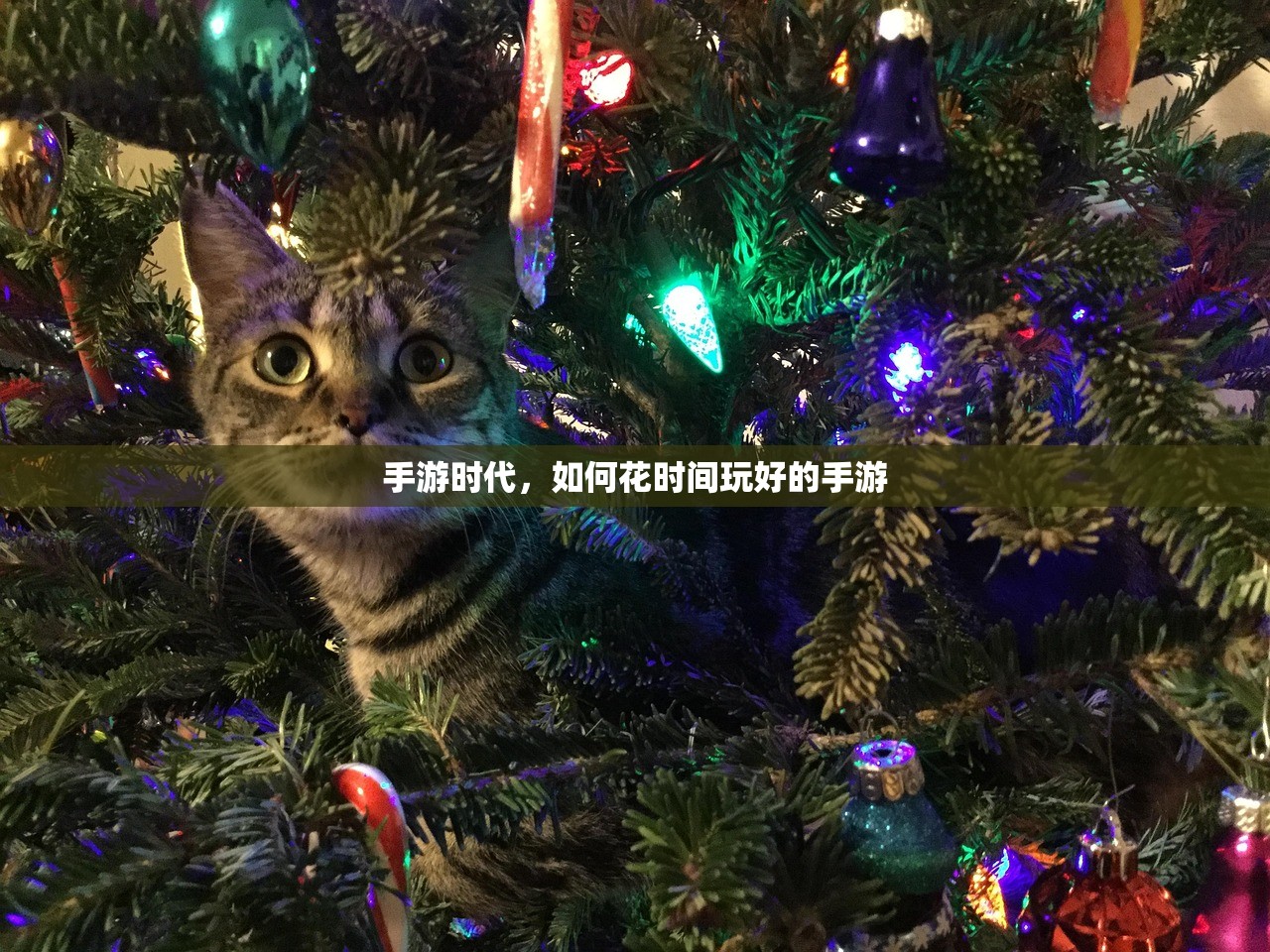 老兵回归穿越手游攻略，玩转经典射击游戏