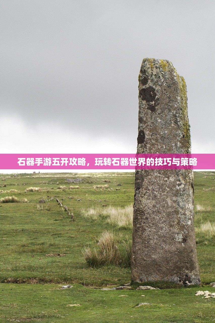 石器手游五开攻略，玩转石器世界的技巧与策略