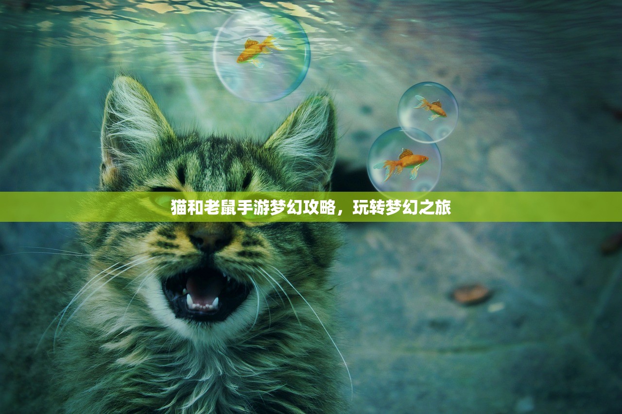 适合新手玩的棋牌手游—轻松上手，乐趣无穷