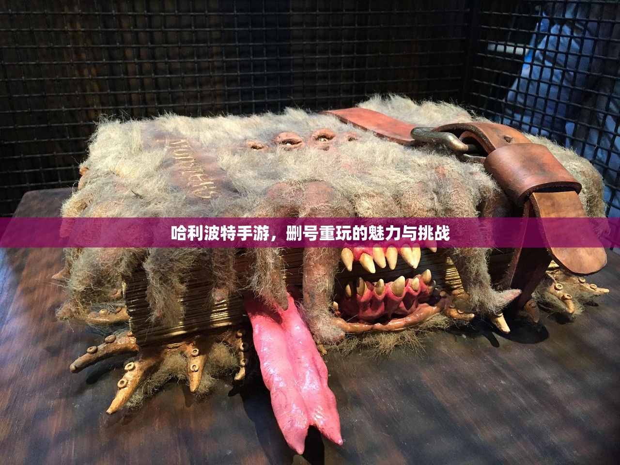 哈利波特手游，删号重玩的魅力与挑战