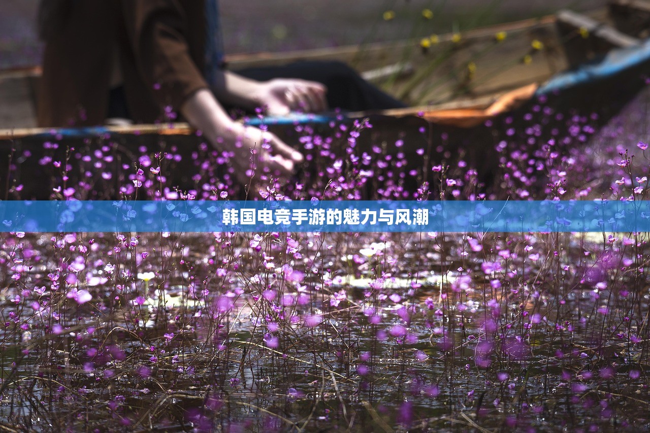 韩国电竞手游的魅力与风潮